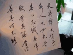 医生为什么写字太潦草 笔记
