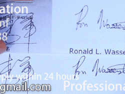 Professional Signature Imitation